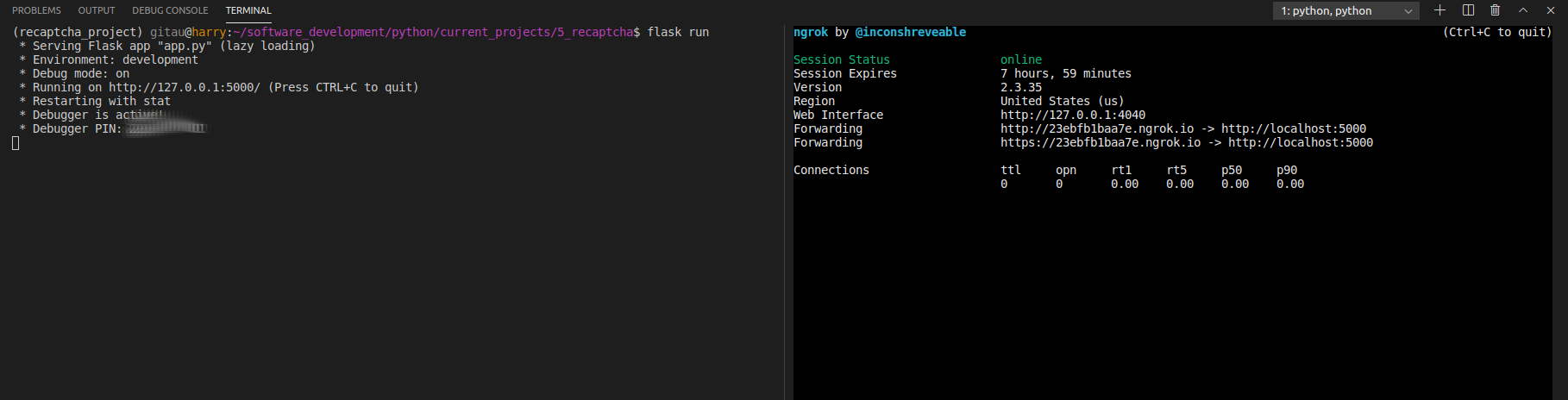 Running Flask and Ngrok